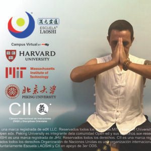 Primer Gran Método de Zhineng QiGong