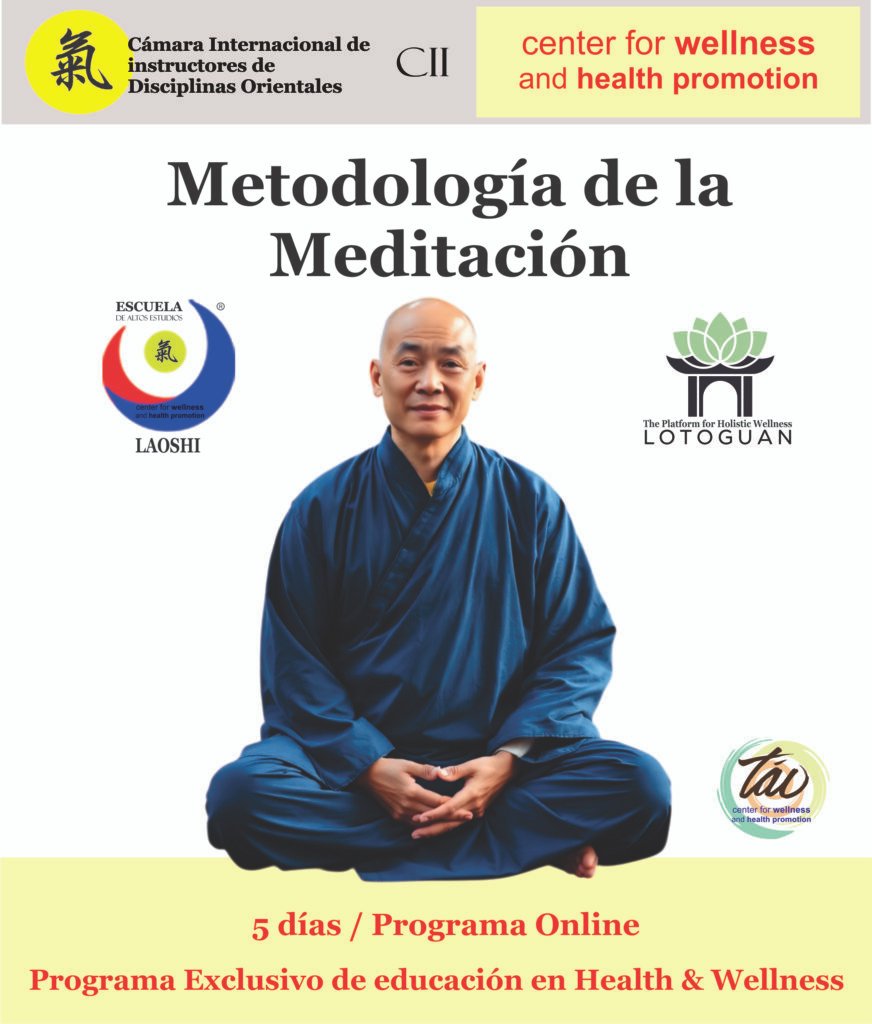 metodologia